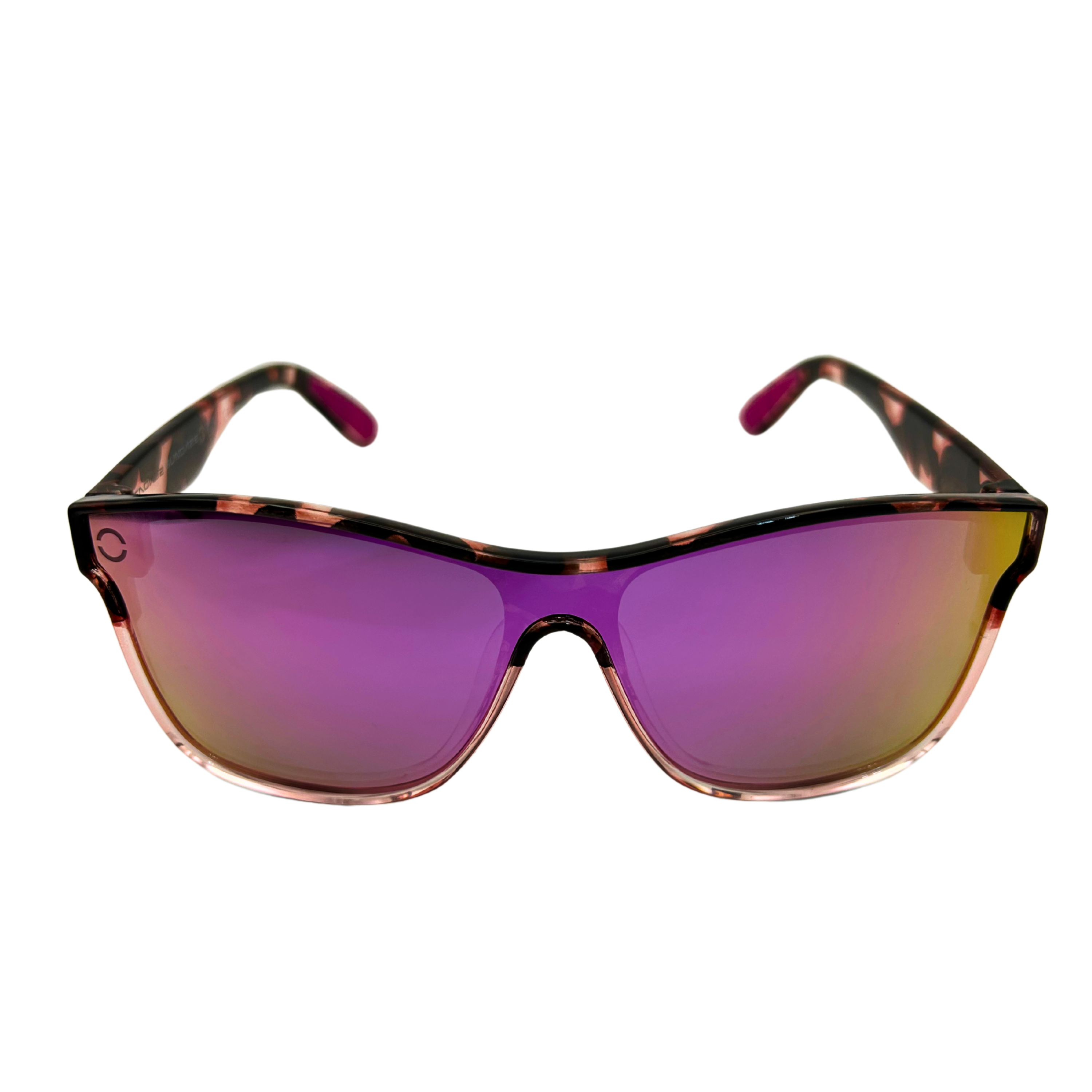 Purple Turtle