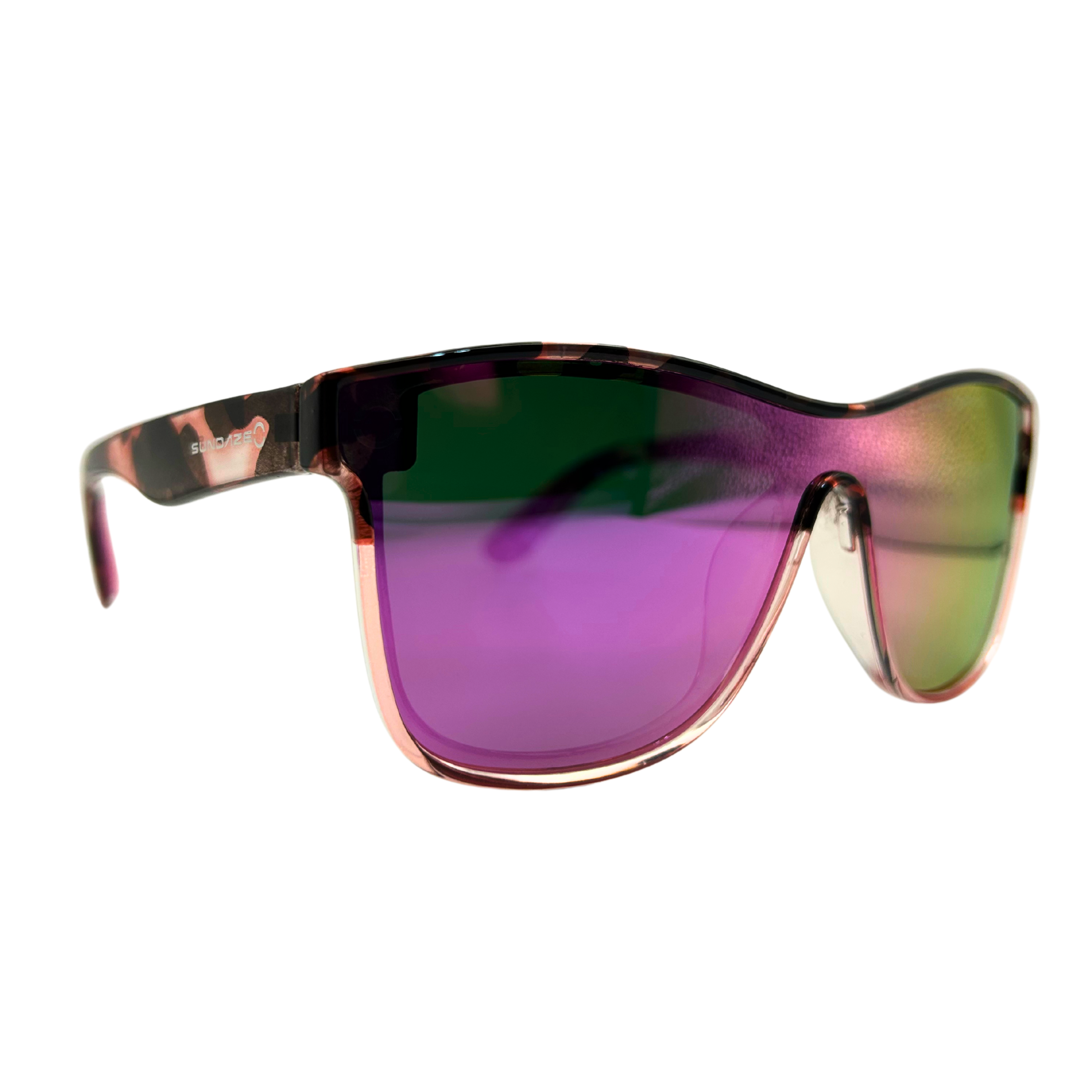 Purple Turtle