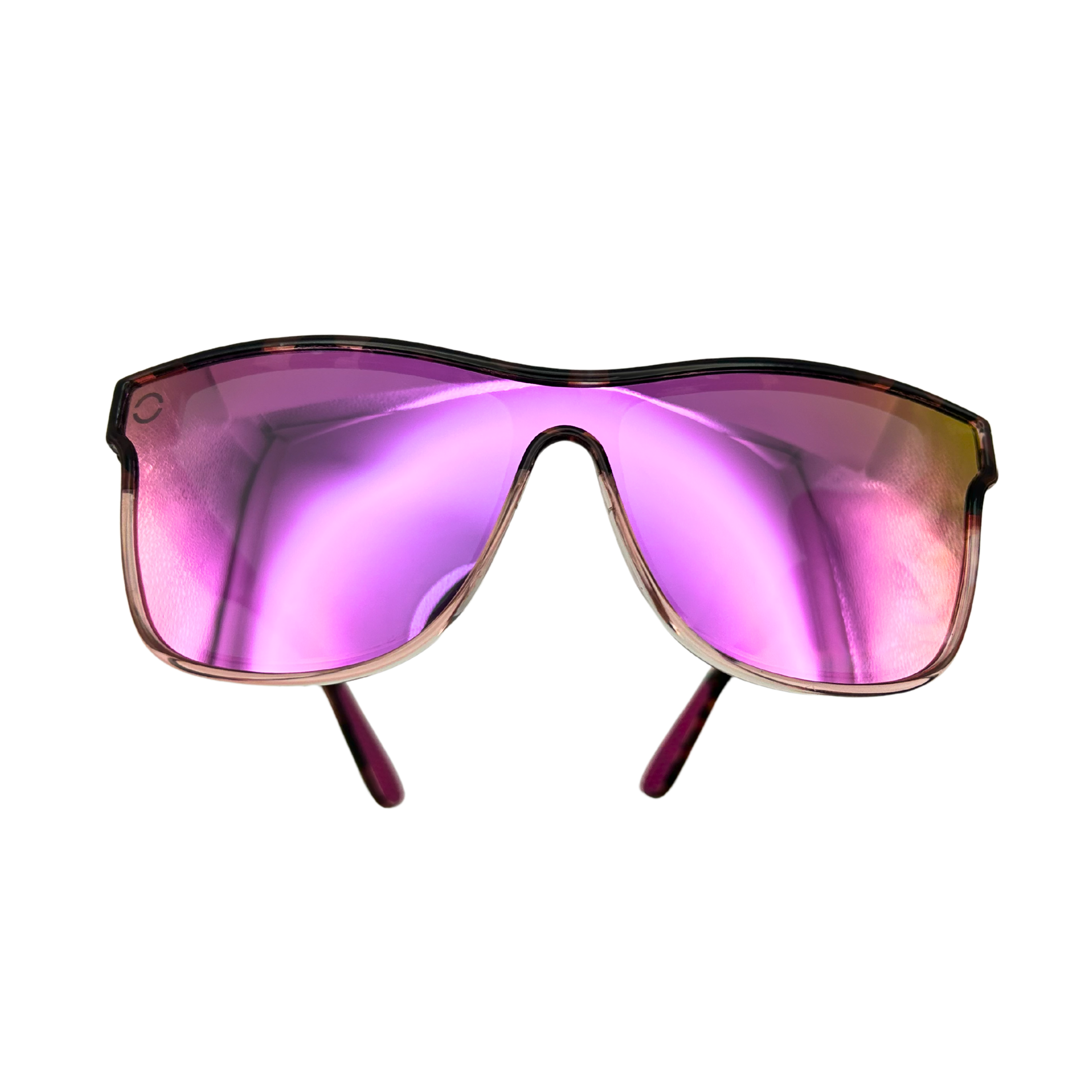 Purple Turtle